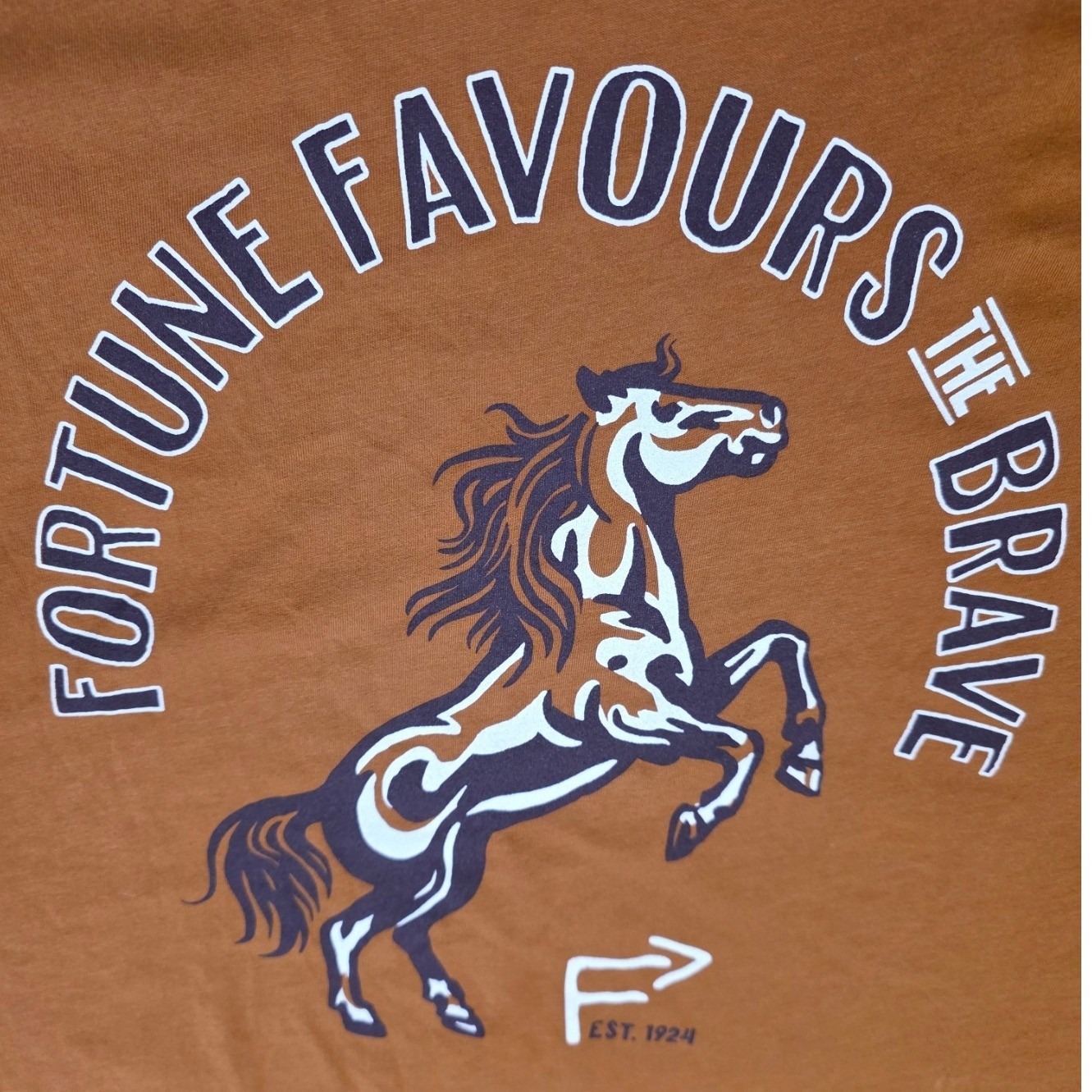 Favour Tee Women Xxl Brown Fortune Favours The Brave Graphic Top Western Usa — image 3 of 8